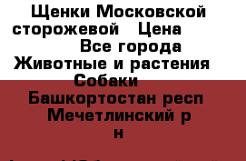 Щенки Московской сторожевой › Цена ­ 35 000 - Все города Животные и растения » Собаки   . Башкортостан респ.,Мечетлинский р-н